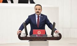 Şanlıtürk: Yaylalar ve Meralardaki Maden Ruhsatlarına İzin Verilmemeli