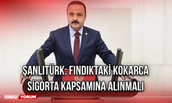 Şanlıtürk: Fındıktaki Kokarca Sigorta Kapsamına Alınmalı