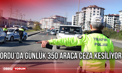 Ordu’da Günlük 350 Araca Ceza kesiliyor