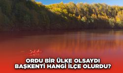 Ordu Bir Ülke Olsaydı Başkenti Hangi İlçe Olurdu?