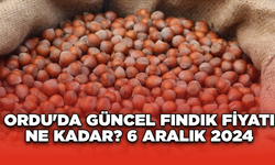 Ordu'da güncel fındık fiyatı ne kadar? 6 Aralık 2024