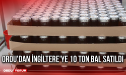 Ordu'dan İngiltere'ye 10 ton bal Satıldı