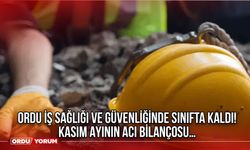 Ordu İş Sağlığı ve Güvenliğinde Sınıfta Kaldı! Kasım Ayının Acı Bilançosu…