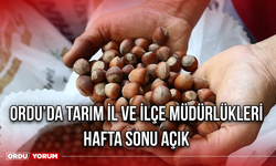 Ordu’da Tarım İl ve İlçe Müdürlükleri Hafta Sonu Açık