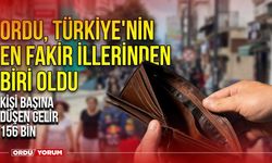 Ordu, Türkiye'nin En Fakir İllerinden Biri Oldu