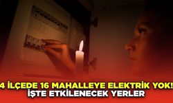 Ordu'da 4 İlçede 16 Mahalleye Elektrik Yok! İşte Etkilenecek Yerler