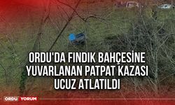 Ordu'da Fındık Bahçesine Yuvarlanan Patpat Kazası Ucuz Atlatıldı