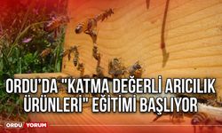 Ordu’da "Katma Değerli Arıcılık Ürünleri" Eğitimi Başlıyor