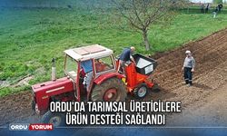 Ordu'da Tarımsal Üreticilere Ürün Desteği Sağlandı