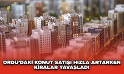 Ordu’daki Konut Satışı Hızla Artarken Kiralar Yavaşladı