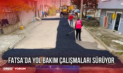 Fatsa’da Yol Bakım Çalışmaları Sürüyor