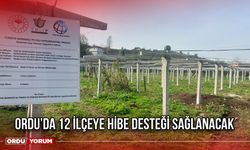 Ordu’da 12 İlçeye Hibe Desteği Sağlanacak