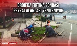 Ordu’da Fırtına Sonrası Peyzaj Alanları Yenileniyor