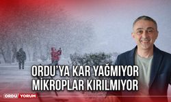 Enginyurt: "Ordu’ya Kar Yağmıyor Mikroplar Kırılmıyor"