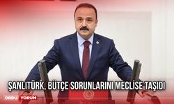 Şanlıtürk, Bütçe Sorunlarını Meclise Taşıdı