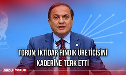 Torun: İktidar Fındık Üreticisini Kaderine Terk Etti