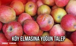 Köy Elmasına Yoğun Talep