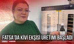 Fatsa'da Kivi Ekşisi Üretimi Başladı