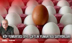 Köy Yumurtası Diye, Çiftlik Yumurtası Satıyorlar!