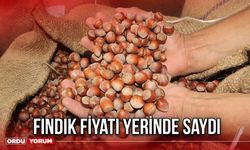 Fındık Fiyatı Yerinde Saydı