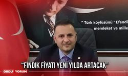 “Fındık Fiyatı Yeni Yılda Artacak”