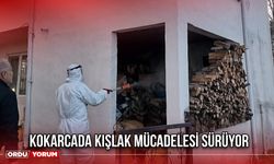 Kokarcada Kışlak Mücadelesi Sürüyor