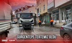 Gürgentepe Tertemiz Oldu