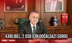 Karlıbel, 2.OSB İçin Doğalgazı Sordu