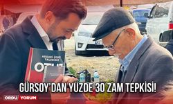 Gürsoy’dan Yüzde 30 Zam Tepkisi!