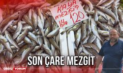 Son Çare Mezgit