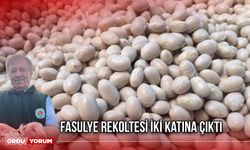 Fasulye Rekoltesi İki Katına Çıktı