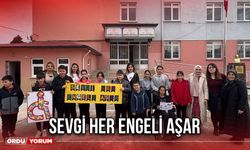 Sevgi Her Engeli Aşar