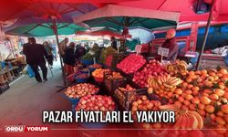 Pazar Fiyatları El Yakıyor