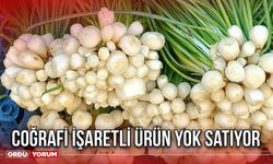 Coğrafi İşaretli Ürün Yok Satıyor