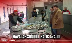 Havalar Soğudu, Balık Azaldı