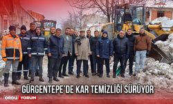 Gürgentepe’de Kar Temizliği Sürüyor