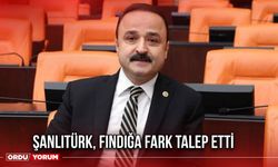 Şanlıtürk, Fındığa Fark Talep Etti