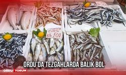 Ordu'da Tezgahlarda Balık Bol