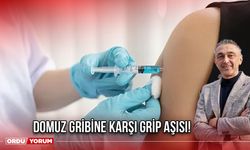 Domuz Gribine Karşı Grip Aşısı!