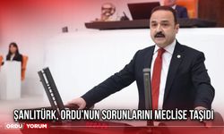 Şanlıtürk, Ordu’nun Sorunlarını Meclise Taşıdı