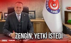 Zengin, Yetki İstedi