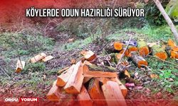 Köylerde Odun Hazırlığı Sürüyor