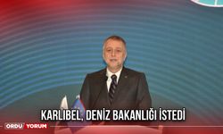 Karlıbel, Deniz Bakanlığı İstedi