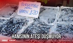 Hamsinin Ateşi Düşmüyor