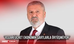 "Asgari Ücret Ekonomik Şartlarla Örtüşmüyor"