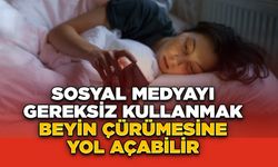 Sosyal Medyayı Gereksiz Kullanmak Beyin Çürümesine Yol Açabilir