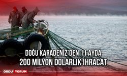 Doğu Karadeniz’den 11 Ayda 200 Milyon Dolarlık İhracat