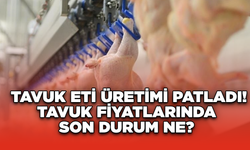 Tavuk Eti Üretimi Patladı! Tavuk Fiyatlarında Son Durum Ne?