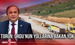 Torun: Ordu’nun Yollarına Bakan Yok