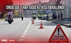 Ordu’da 1 Haftada 47 Kişi Yaralandı